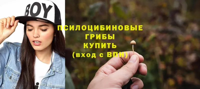 omg ТОР  Вихоревка  Псилоцибиновые грибы Psilocybe 